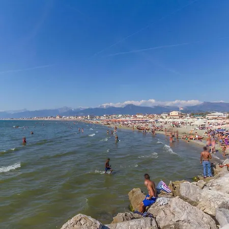 Stunning In With Wifi *