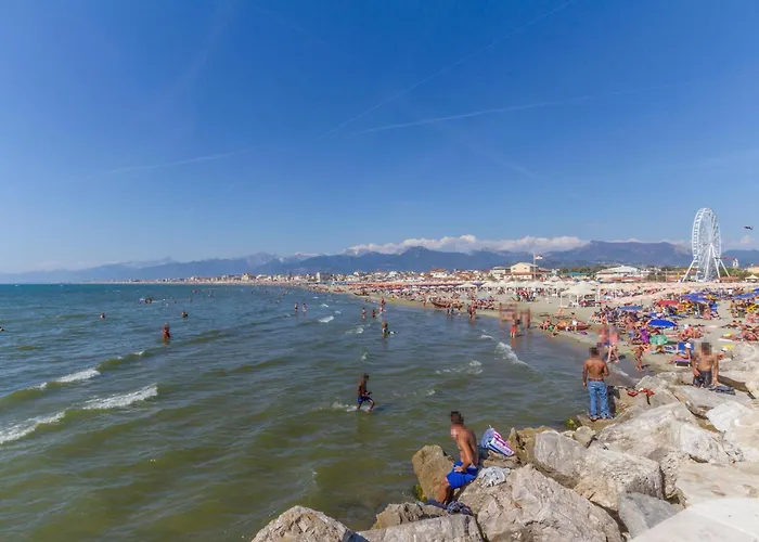 Stunning In With Wifi *